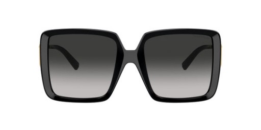 Tiffany TF4212U Square Sunglasses