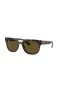 Ray-Ban Phil RB4426 Square Sunglasses