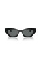 Ray-Ban Zena RB4430 Cat Eye Sunglasses