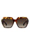 ETRO 0043/S Butterfly Sunglasses