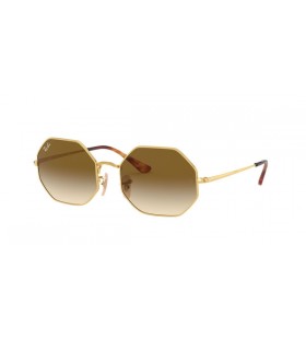 Ray-Ban Octagon RB1972 Sunglasses