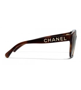 CHANEL 5458 Butterfly Acetate Sunglasses