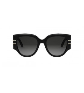Dior Signature R2I Butterfly Sunglasses