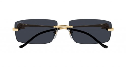 Cartier CT0430S Retângulo Óculos de sol