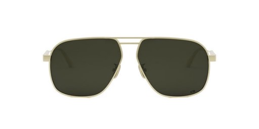 Dior Cannage A3U Cearnach Sunglasses