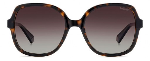 Polaroid PLD 4177/S/X Féileacán Sunglasses