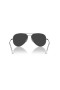 Ray-Ban Aviator Titanium RB8089 Aviator Sunglasses