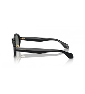 Giorgio Armani AR8205 Oval Sunglasses
