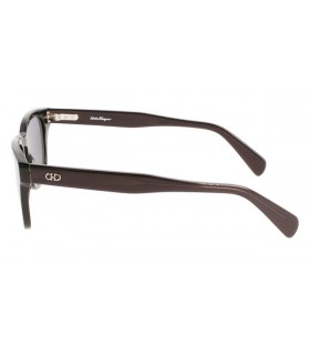 Ferragamo SF1057S Aicéatáit Sunglasses