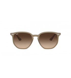 Ray-Ban RB4306 Sunglasses