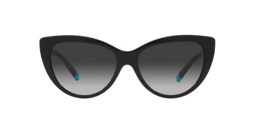 ティファニー TF4196猫の目のサングラス