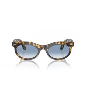 Ray-Ban Wayfarer楕円RB2242楕円形のサングラス