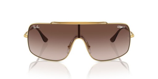 Ray-Ban Aripi III RB3897 Pătrat ochelari de Soare