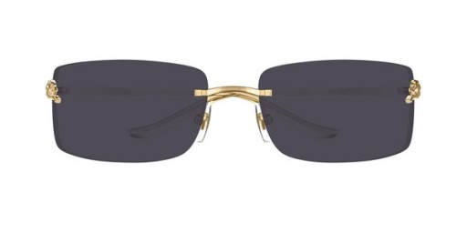 Cartier CT0503S Pătrat ochelari de Soare