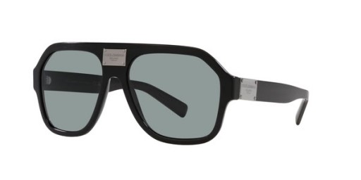 Sunčane naočale-napuštenih životinja Dolce&Gabbana DG4433