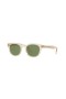 Sunčane naočale Oliver Peoples Sheldrake OV5036S