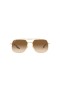 Ray-Ban RB3699 Plaza de Gafas de sol