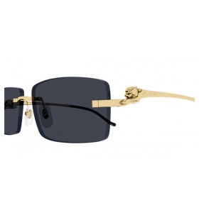 Cartier CT0430S Rectángulo de Gafas de sol