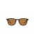 أوليفر الشعوب فينلي 1993 الشمس OV5491SU Rectangle Sunglasses