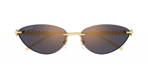 كارتييه CT0543S العين النظارات