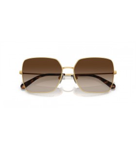 Dolce&Gabbana DG2242 مربع النظارات الشمسية