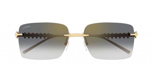 Cartier CT0545S Square Solbriller