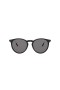 Ralph Lauren RL8181P Ovale Solbriller
