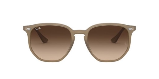 Ray-Ban Zonnebril RB4306