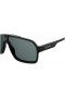 Carrera 1014/S Zonnebril