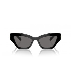 Swarovski SK6021 Cat Eye Zonnebril