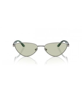 Emporio Armani EA2153 Cat Eye Zonnebril