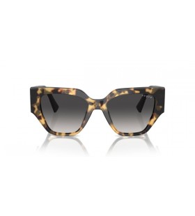 Vogue Eyewear VO5409S Cat Eye Zonnebril