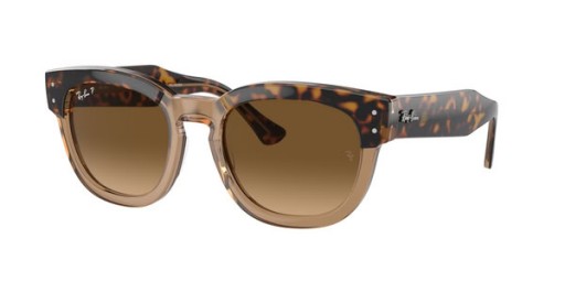 Ray-Ban Mega Hawkeye RB0298S Neliö Aurinkolasit