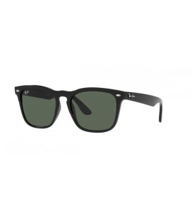 Ray-Ban Steve RB4487 Carré des Lunettes de soleil
