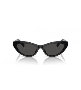Polo Ralph Lauren PH4199U Cat Eye Lunettes de soleil