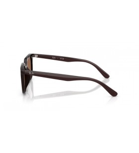 Ray-Ban RB4439D Carré des Lunettes de soleil