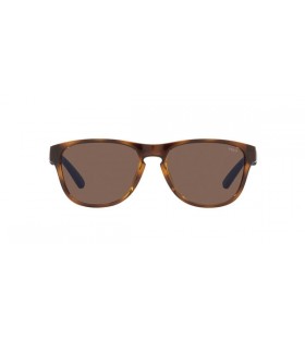 Polo Ralph Lauren PH4180U Carré des Lunettes de soleil