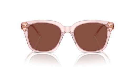 Giorgio Armani AR8210U Τετραγωνικά γυαλιά Ηλίου