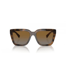 Vogue Eyewear VO5575SB Πεταλούδα τα γυαλιά Ηλίου